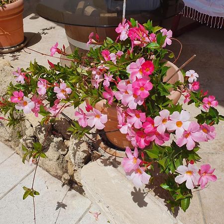 Fenetre Sur Les Alpilles Bed and Breakfast Saint-Martin-de-Crau Eksteriør billede